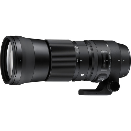 Sigma 150-600mm f5-6.3 Contemporary DG OS HSM Lens - Nikon Fit